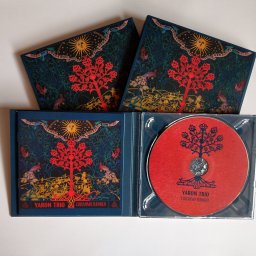 płyta CD w opakowaniu kartonowym digipack